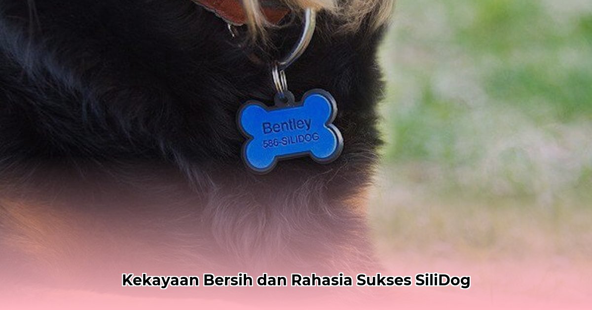 silidog tags net worth